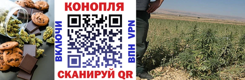 Cannafood конопля  blacksprut зеркало  Дедовск 