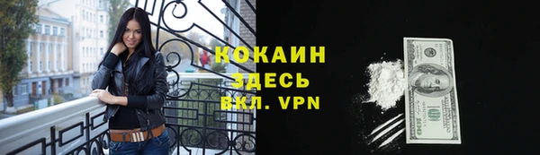 мдпв Богородицк