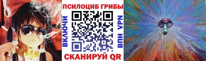 купить  сайты  Дедовск  Галлюциногенные грибы мухоморы 
