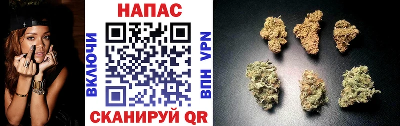 мориарти как зайти  Дедовск  Бошки марихуана White Widow 